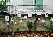 第5回『ハート〜』 公園の様子