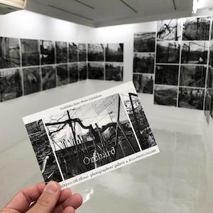 斎藤純彦さんの個展『Orchard』