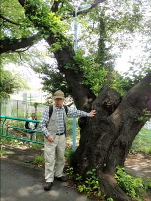 杉並区の偉人、“永遠の昆虫少年”須田孫七さん逝く。お疲れ様でした……