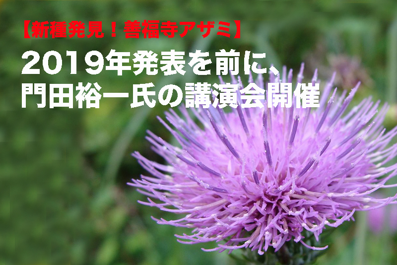 【新種発見！善福寺アザミ】2019年発表を前に、門田裕一氏の講演会開催