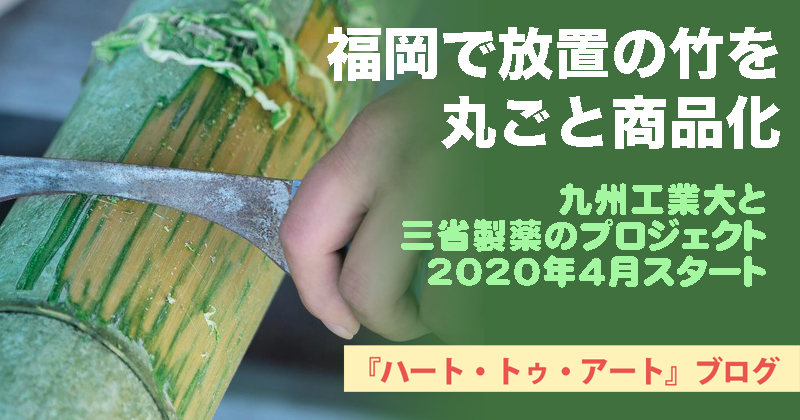 【福岡で放置の竹を丸ごと商品化】九州工業大と三省製薬のプロジェクト