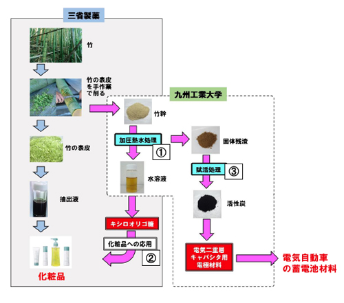 竹の幹から「美容成分」の抽出と「電気二重層コンデンサー」の材料活用