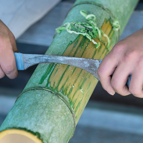 竹の表皮を手作業で削りとったものから「竹幹表皮エキス」を抽出