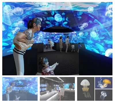 京都水族館のクラゲ新展示「クラゲワンダー」