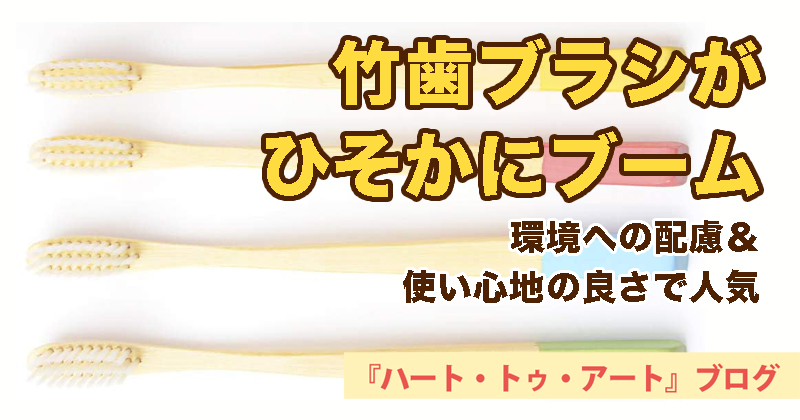 【竹歯ブラシがひそかにブーム】環境への配慮＆使い心地の良さで人気