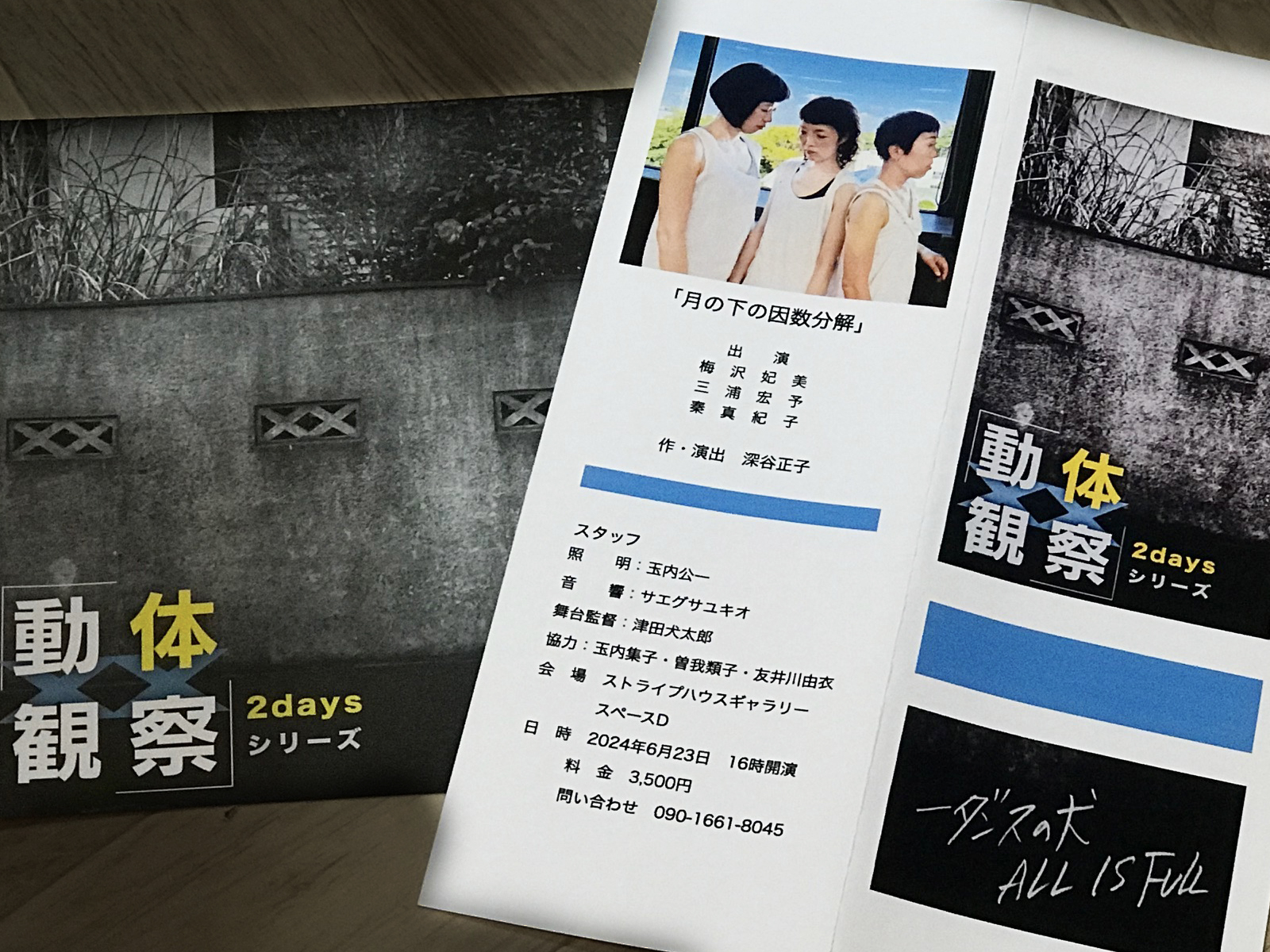 6月23日、ストライプハウスギャラリーでの『月の下の因数分解』公演（出演：梅澤妃美・秦真紀子・三浦宏予／作・演出：深谷正子）