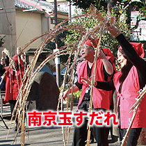 南京玉すだれ（赤張子群団）